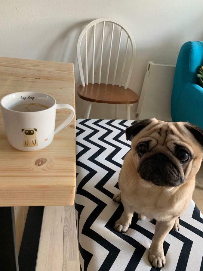 Cute Pug Guest Room 코펜하겐 외부 사진